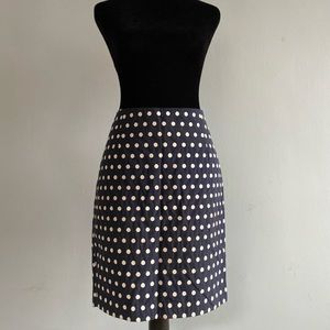 Navy and White Pencil Skirt. From the styles of J Crew